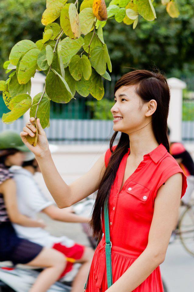 万相之王在线观看